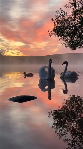 Beauty of Nature | Travel magazine