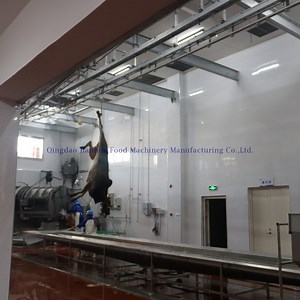 [Hot Item] Commercial Beef Slaughter Equipment & Cattle Slaughterhouse Machinery Industrial Cow Abattoir Systems
