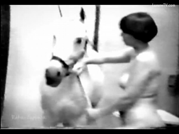 Horse Blowjob and Fuck for First Time
