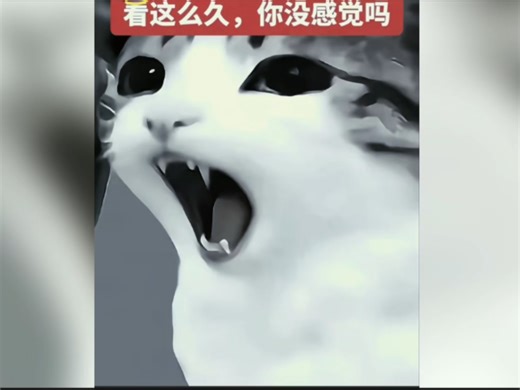 【林洛-luo】最新视频来袭，快来看看吧！