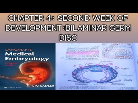 Embryology Chapter 4:2nd week of development :Bilaminar Germ disc Complete lecture #medicaleducation