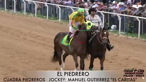 AMAROS TRAINING FACILITY 🔥EL MORO CAPITÁN CUADRA REFUGIO🔥 Gran ganador del Maturity “EL AMO” en su Segunda edición.. 2) El Templario Cuadra Nuevo León 3) El Piedrero cuadra Piedreros (Música sin derechos de Autor) | Finish Line Productions