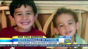 15-Foot Python Escapes Pet Store, Strangles Sleeping Boys