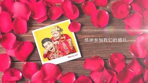 高清1080P在线观看平台_腾讯视频