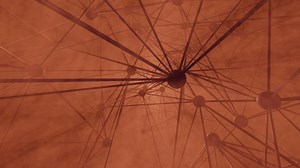 Nodes, Net, Network, Neurons
