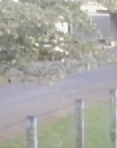 1.5K views | Portal JR on Reels | Facebook