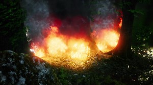 Wind blowing on a flaming trees during a forest fire