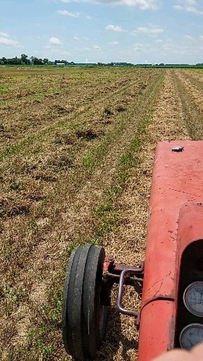 Last tedding (scattering or fluffing) of 2nd cut hay. Tedding moves the hay around so that it dries faster and more consistently as wet spots in a bales will mold or get hot and cause spontaneous combustion. Yeah, really, wet hay will heat to the point of nearly explosive fire in a couple of days. You have to monitor the moisture and temperature of the bales at least 3 or 4 days to make sure they are not getting hot. Life on the farm. | Fruited Plain Seeds