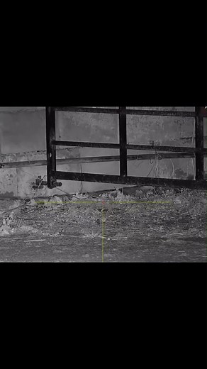 The Silent Problem Solved | vidral.id