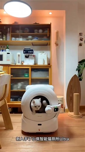 忙碌生活不再愁！小佩智能电动猫砂盆，可视设计全自动打包，让养猫更轻松