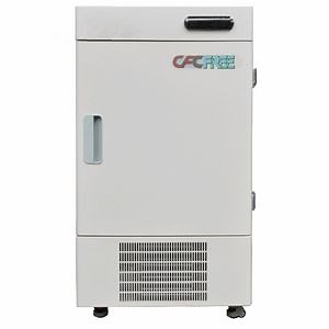 [Hot Item] -86 Degree Freezer Vertical Deep Upright Vaccine Storage Freezer