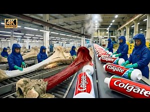 How Toothpaste Is Made From Animal Bones | Inside Factory Mass Production