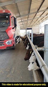 315K views · 10K reactions | #DairyFarm #ModernMachinery #AgricultureTech #FarmEquipment #DairyFarming #AgriculturalInnovation #FarmAutomation #LivestockManagement dairy farm, modern machinery, agriculture tech, farm equipment, dairy farming, agricultural innovation, farm automation, livestock management, milking machines, robotic milking, farm robotics, precision farming, dairy farm management. | GD King | Facebook