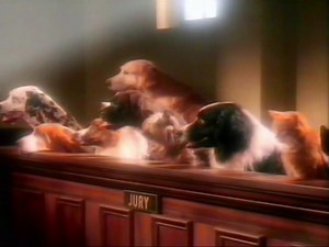 1993 commercial for Drontal : Free Download, Borrow, and Streaming : Internet Archive