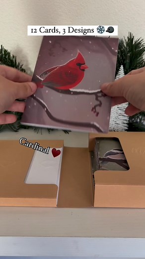 55 reactions | Blue jays, cardinals, chickadees...this winter card set is perfect for nature lovers and thoughtful senders. ❄️ | Lovepop Cards | Facebook
