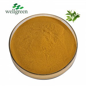 [Hot Item] Nature Catechin Green Tea Anti-Oxidation 70% Green Tea Extract EGCG Catechin
