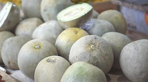 Pile Ripe Sweet Melons That Have: video de stock (totalmente libre de regalías) 3814560501 | Shutterstock