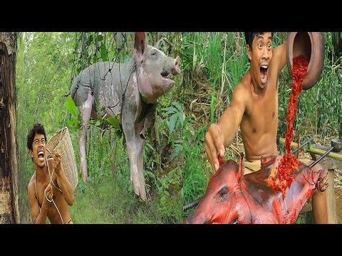Amazing Primitive Trap Used to Hunt Wild Pig | Village Life Skills