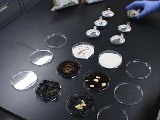 Saline-alkali soil amended with biochar derived from maricultural-solid-waste: Ameliorative effect and mechanism - Watch Related Videos