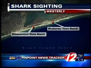 westerly shark sighting misquamicut wuskenau beach