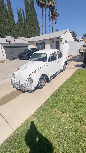 just washed walk around 1967 VW BUG project for sale $5k zip 91406 on PNO! numbers matching body/pan, runs/drives NOT ROAD WORTHY! hot cam DP motor holley 2bbl #vw #vwbug #project #forsale | Phil Adam