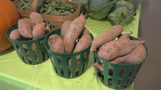 Orangeburg County Library offers affordable healthy food for residents
