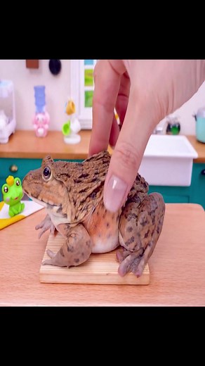 Miniature Cooking: Yummy Chili Garlic Frog Recipe