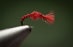 The CDC Blood Midge - Fly Fishing | Gink and Gasoline | How to Fly Fish | Trout Fishing | Fly Tying | Fly Fishing Blog
