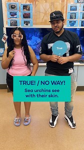 Fact or fiction? What do you choose?  | Saint Louis Science Center | Facebook