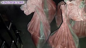 Baba vari smart havo.Vachipukuta masaga ehufu. Nzungu dzevanhu vese vekutanga dzanaka. | SHEMA TV