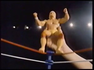 14K views · 155 reactions | LJN / Grand Toys WWF Wrestling Superstars action figures, ring and steel cage. | Killer Toys & Games | Facebook