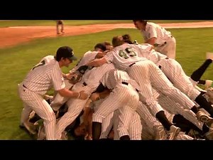 Dogpile Video #2