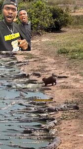 NGEKEWA NDO MNYAMA PEKEE MWENYE BAHATI😀😀🙃🙃🙃🙃KUSHINDA WANYAMA WOTE MBUGANI | Msaka Tonge