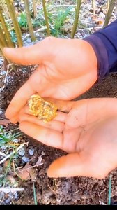Mega GOLD Nugget 200grams Found Metal Detector | GO finder