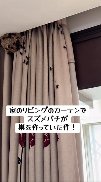 家のリビングにスズメバチの巣発見！