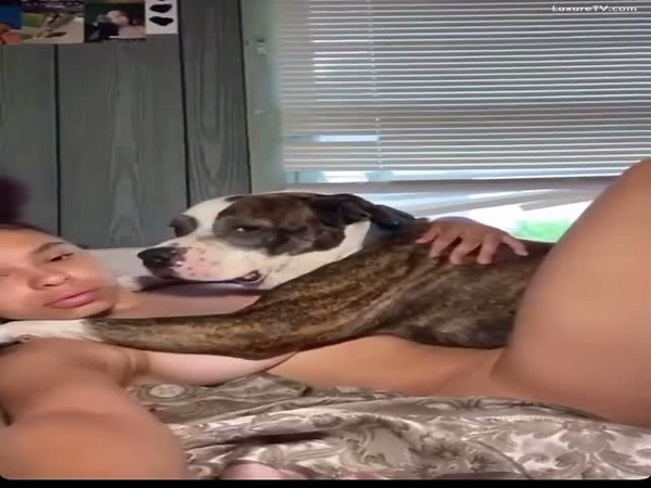 ebony teen licked by dog