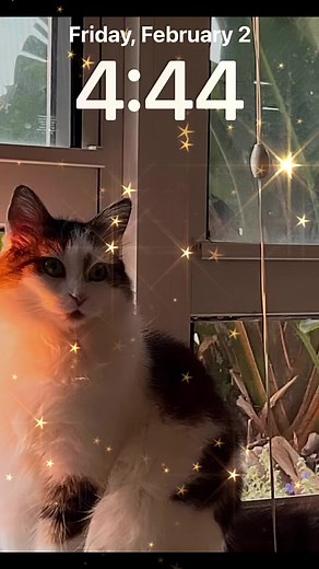 1.3K views · 32 reactions | Schumann Resonance on Reels | Facebook