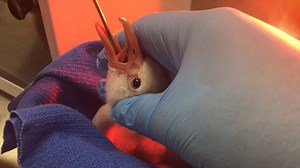 7K views · 427 reactions | On Wednesday, September 25th, a Caribbean...