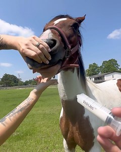 Liquid injection leads to unexpected turn of events | Shirtless Jake's Homestead