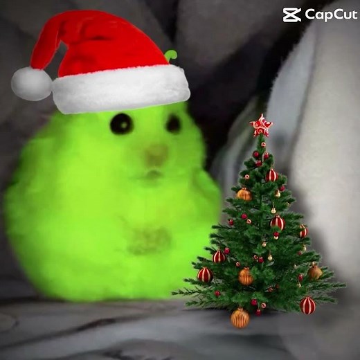 Alien hamster 🐹 🔥