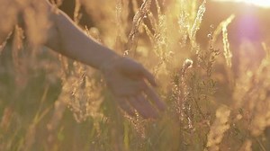 Beautiful Young Woman Walking On Field Stock Footage Video (100% Royalty-free) 1015586746 | Shutterstock