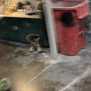 6.1K views · 42 reactions | Update | Dirty Bird Concepts | Facebook