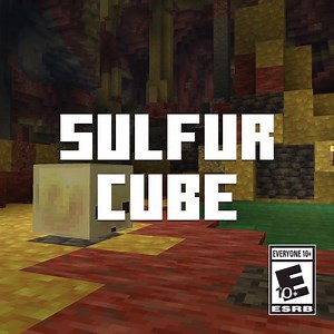 istg minecraft players that always complains just wants fucking 3d terraria