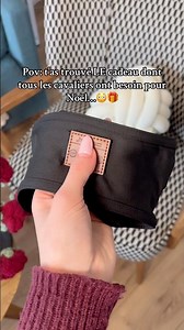 Toutes les cavalières c’est pour vous ! 🤭🎁 #equitation #cavalier #cavaliere #bandeaumusique #fyp