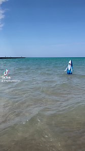 5K views · 119 reactions | IT’S HERE!!! 麗 Shark Week at The Cabbage Shed Join us for our special Shark Bite Cocktail, and some other fun surprises each night. Sharkey the Shedhead can’t wait to see you! | Cabbage Shed | Facebook