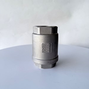 [Hot Item] High Performance Stainless Steel Vertical Spring Loaded Check Valve Industrial Pipe Systems