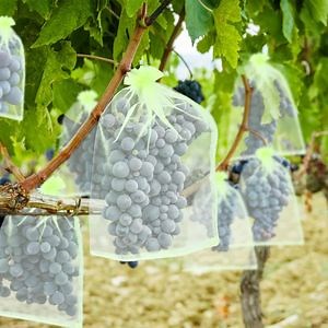 [Hot Item] Anti Insect Plastic Fruit Mesh Net Protect Bag