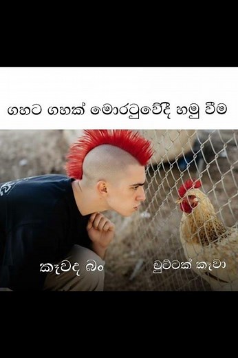 බුකියේ රස කතා අද 😂 | HC Fun Memes 🤣 #sinhala #shorts #memes Episode 2504 #athalmemes #shorts