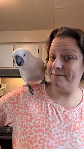 New tie dye hoodies! #furbythebirb #tiktokshop #tiedye #hoodie #sweatshirt | Furbythebirb