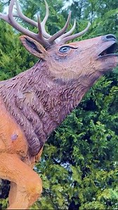 1.3K views · 362 reactions | ELK HEAD WOOD SCULPTURE- life sized wood carving of elk #wood #elk #sculpture | Ryan Cook Carvin | Facebook